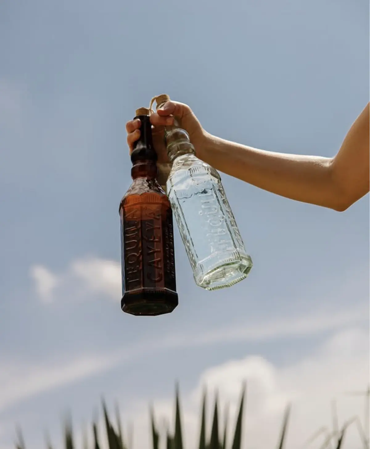 Tequila Cayeya Marketing Image