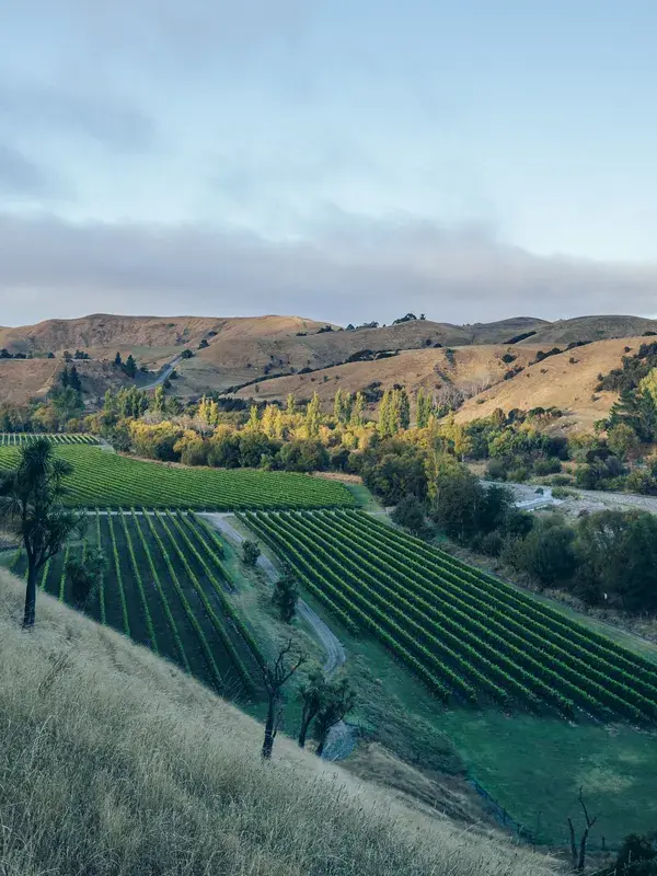 Astrolabe Marketing Image