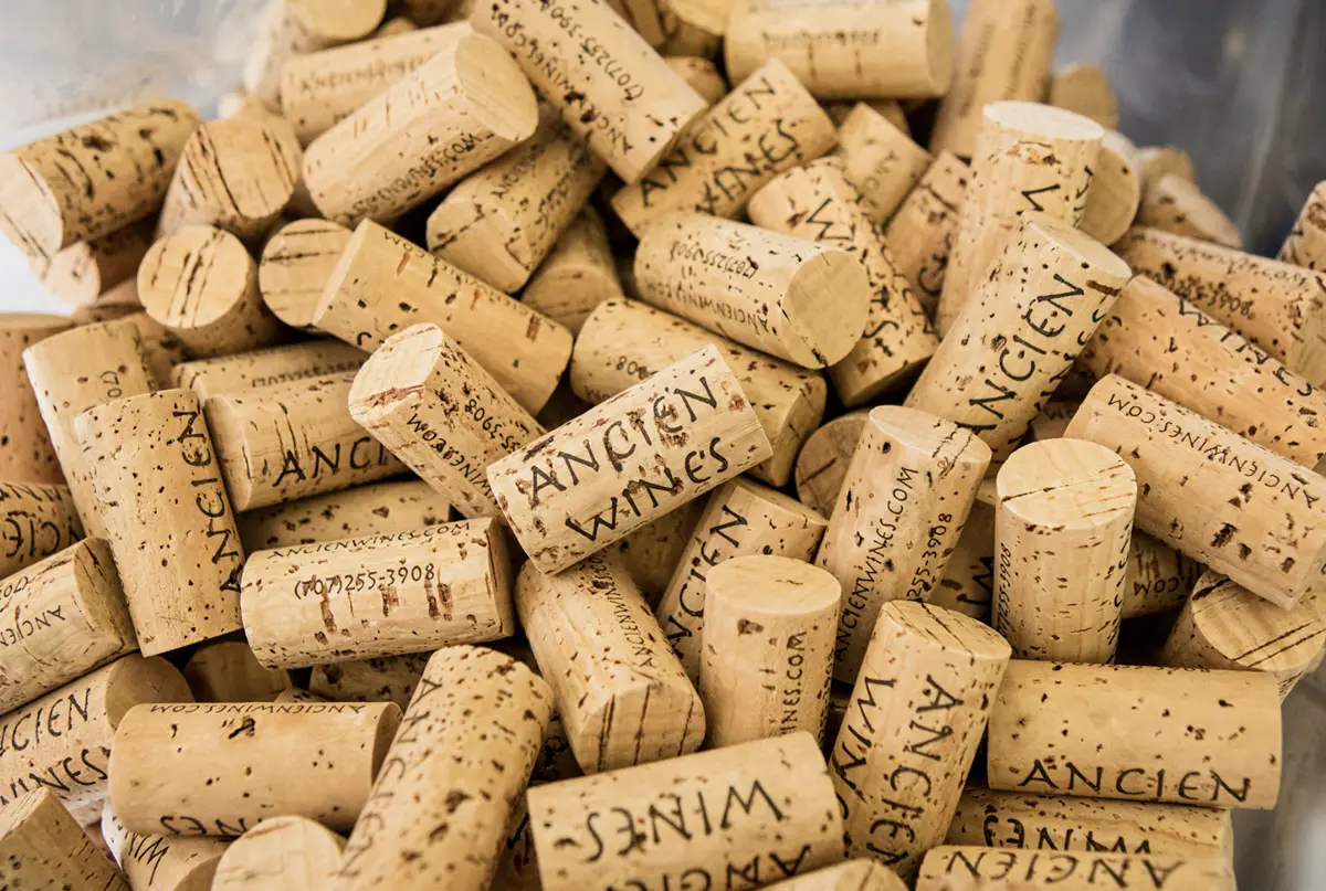 Ancien Wines Marketing Image