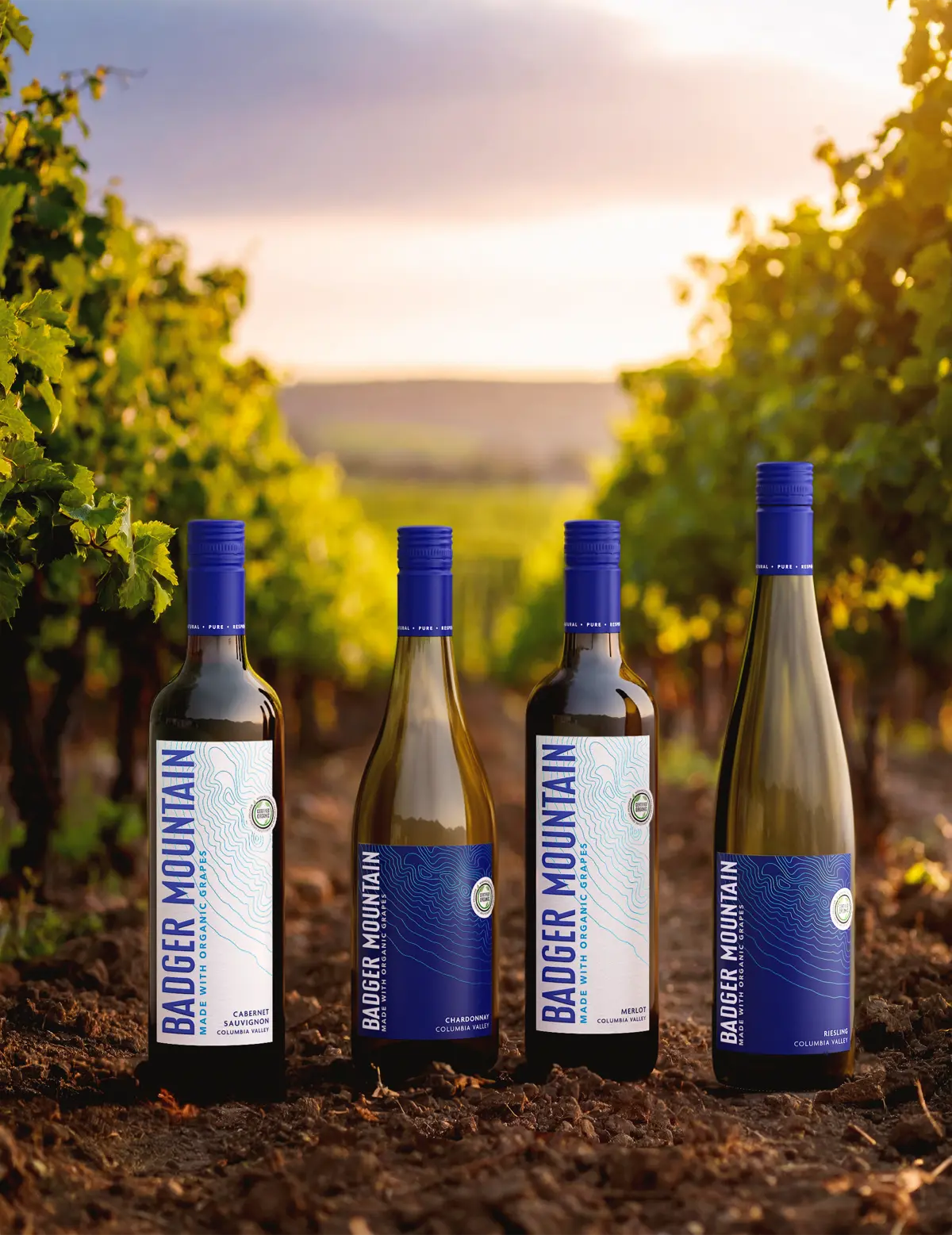 Badger Mountain Winery Marketing Image