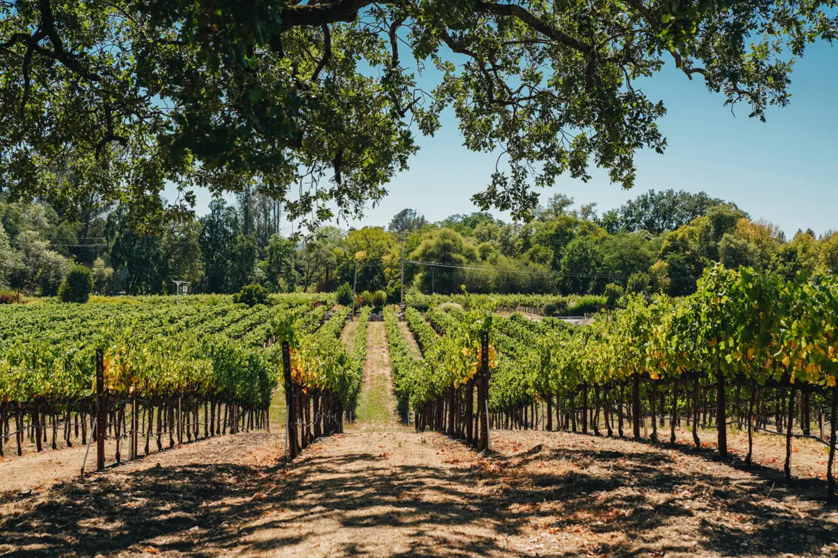 Atelier Marketing Image