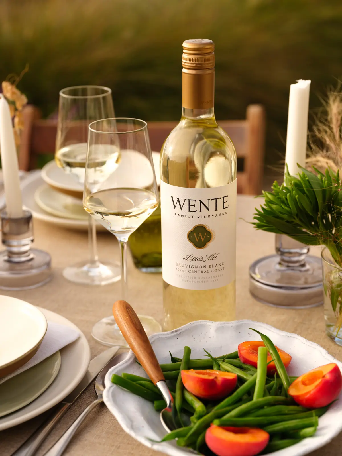 Wente Marketing Image