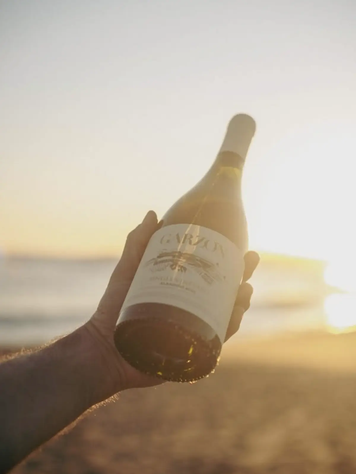 Bodega Garzón Marketing Image