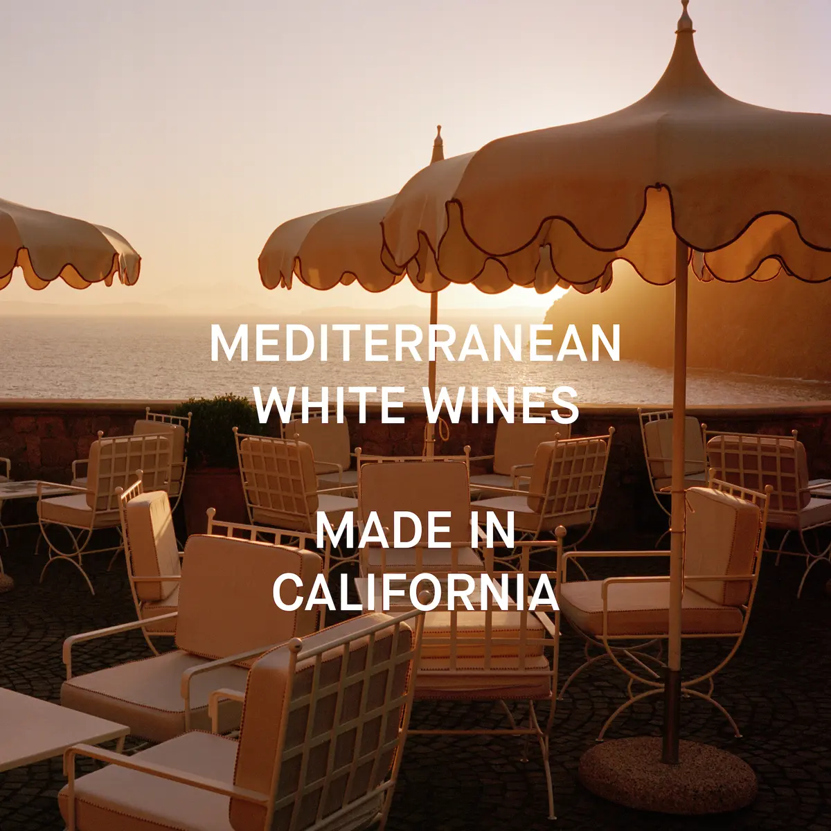 Massican Marketing Image