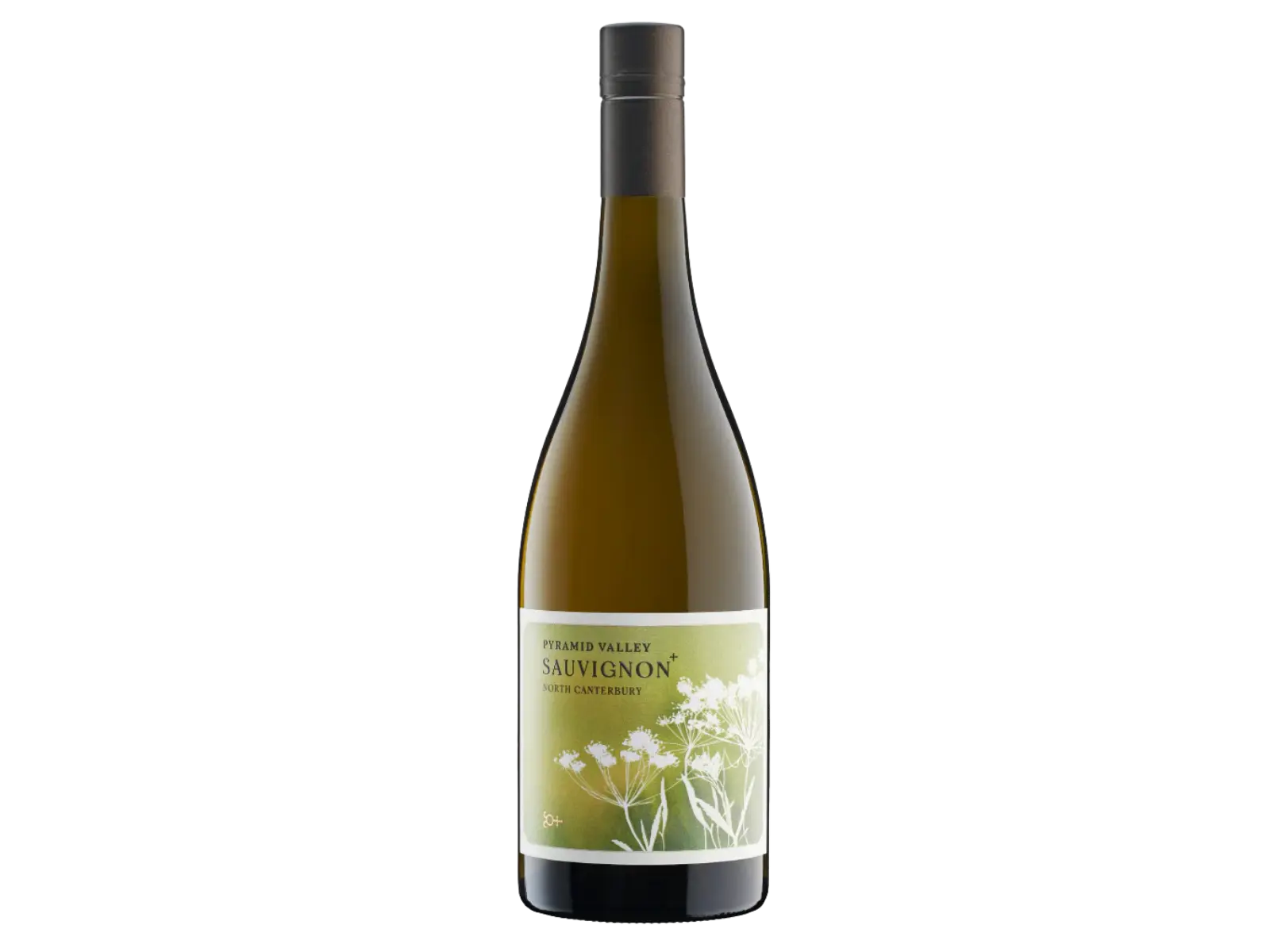 Pyramid Valley North Canterbury Sauvignon +